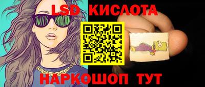 амф Можга