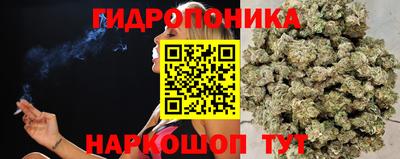 амф Можга