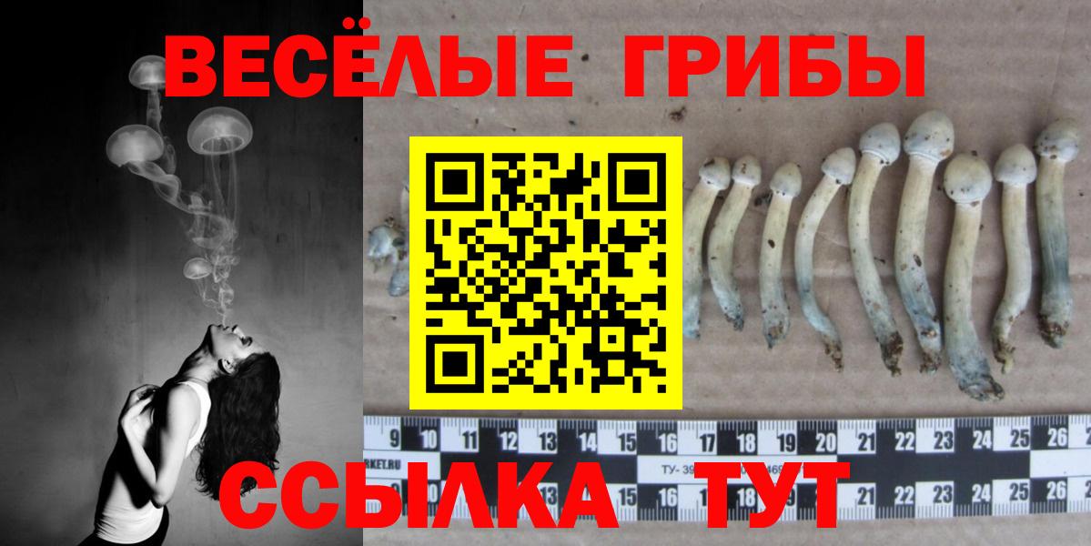 Псилоцибиновые грибы Psilocybe Большой Камень